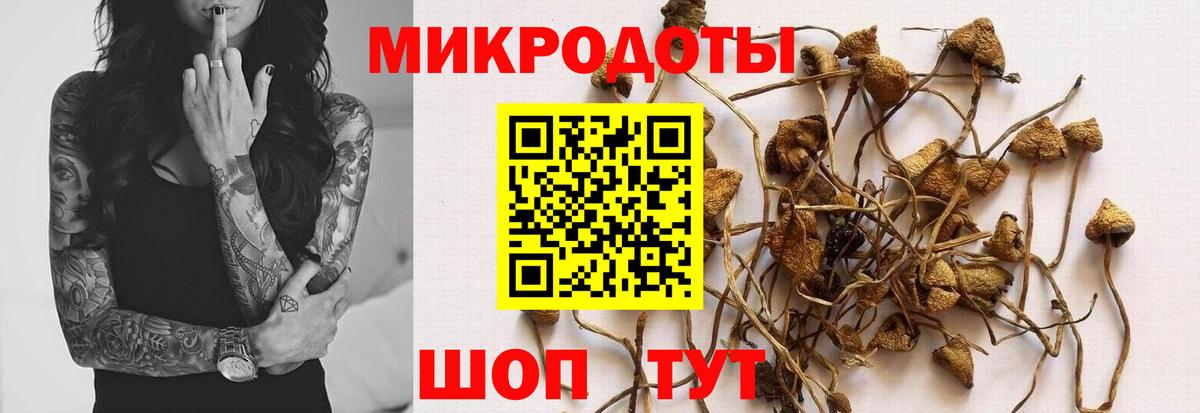 Галлюциногенные грибы Magic Shrooms  Вход с VPN  где купить   Десногорск 